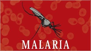 Malaria [upl. by Aelber]