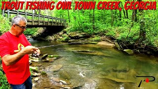 Trout Fishing Georgias Owl Town Creek [upl. by Arretnahs]