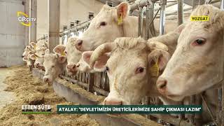 Damızlık ve Besi İşletmesinin Maliyetleri  ETTEN SÜTE  Çiftçi TV [upl. by Airasor]