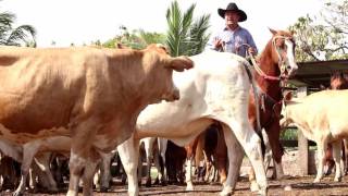 Soy Campesino  Milciades Sanabria Video Oficial 2018 [upl. by Morse190]