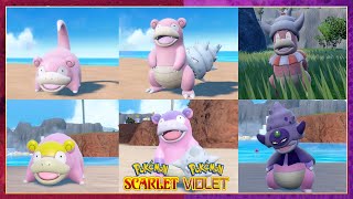 Galarian Slowbro and Slowking Locations Guide in The Indigo Disk  Pokémon Scarlet and Violet Tips [upl. by Altheta]