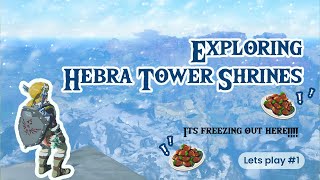 ❄️ Exploring Hebra Tower Shrines  BOTW 🏹 [upl. by Euqinomad]