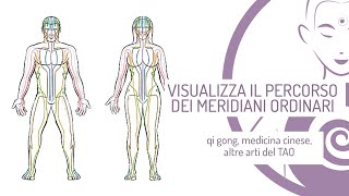 Meridiani vedi il percorso di ogni meridiano ordinario [upl. by Lyndy]