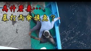 20100805台灣東部鏢旗魚船捕雨傘旗魚caught sailfish by traditional harpoon [upl. by Corly]