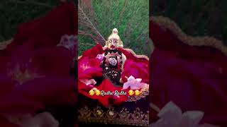 🥰🥰 radhe श्रीkrishna🥰🥰🥰 [upl. by Ellis602]