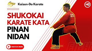 Shukokai Karate Kata  Pinan Nidan [upl. by Kusin]