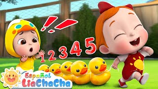 Cinco Patitos🦆  Contando Patitos  LiaChaCha en Español  Canciones Infantiles [upl. by Aicemak]