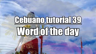 Cebuano Tutorial 39 AGUANTA [upl. by Suoirrad]