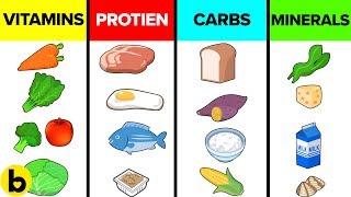 How The Six Basic Nutrients Affect Your Body [upl. by Ayerim]