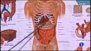 ¿Cómo se producen los gases intestinales [upl. by Pihc857]