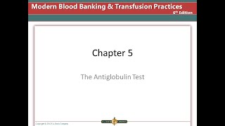 The antigobulin test [upl. by Ainit974]