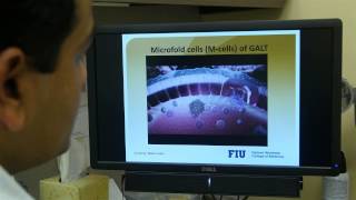 Nanomedicinebased antiHIV drug delivery targeting Mcells – Video abstract 68348 [upl. by Coe]