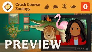 🦀 Crash Course Zoology Preview [upl. by Enomahs419]