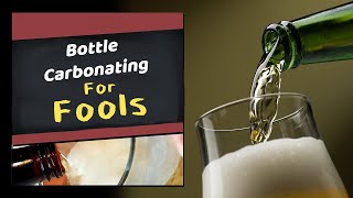 How to Bottle Carbonate Homebrew for Fools Beer Wine Cider amp Mead [upl. by Naghem]