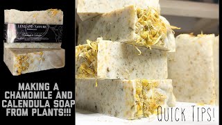 how to make A Chamomile Calendula Soap Outside   Very Relaxing [upl. by Nason946]