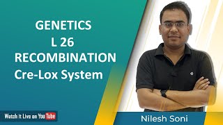 Recombination  Cross Over  Cre Lox System Nilesh Soni [upl. by Dnalsor]