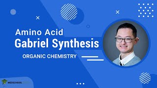 Gabriel Synthesis of Amino Acids  MCAT Organic Chemistry Prep [upl. by Ahsatniuq]