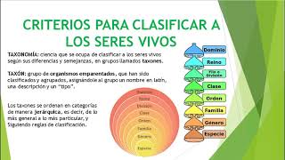 Clasificación de los seres vivos Taxonomía 1º ESO [upl. by Nahtahoj]