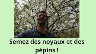 Semez des noyaux et des pépins  ça marche [upl. by Naro]