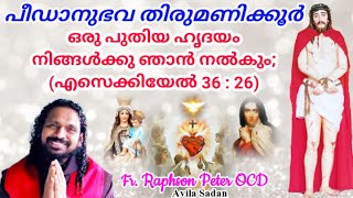 പീഡാനുഭവ തിരുമണിക്കൂർ 08062023 Fr Raphson Peter OCD Avila Sadan Karaparambu Iritty Daily Mas [upl. by Lukey]