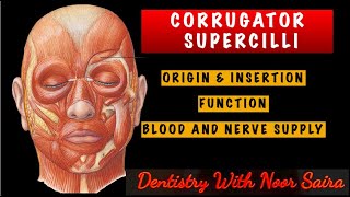 CORRUGATOR SUPERCILLI MUSCLE SIMPLIFIED  ORIGININSERTIONINNERVATION AND FUNCTION MADE EASY [upl. by Irakab]