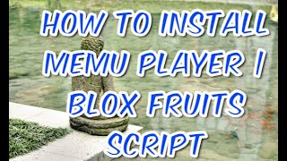 How to install MeMu Player  Blox Fruits Script [upl. by Enwad605]