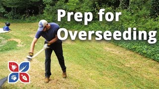 Do My Own Lawn Care  Prep for Overseeding  Ep28 [upl. by Teplica890]