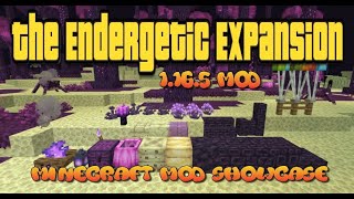 Minecraft 1165  The Endergetic Expansion mod [upl. by Katina]