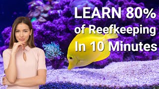 Saltwater Aquarium Basics In 10 Minutes [upl. by Westfahl]