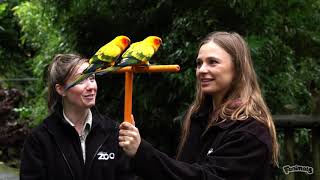 Jess from Fanimals meets our animal experiences team [upl. by Alekim318]