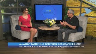 All About Bartonella Infections aka Cat Scratch DiseaseFever  with Carolina Holistic Medicine [upl. by Aidekal]