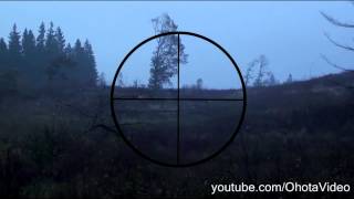 Охота на лося видео онлайн 20122013 Moose hunting Russia [upl. by Kadner]