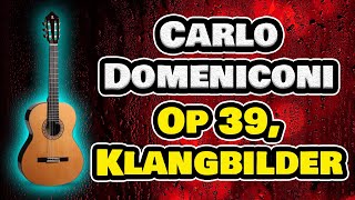 Carlo Domeniconi  Op 39 Klangbilder  Classical Guitar TutorialLesson Tab  How To Play [upl. by Mitchell]