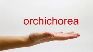 How to Pronounce orchichorea  American English [upl. by Nadab]