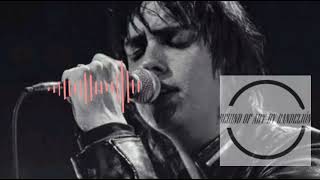 Machu Picchu The Strokes only Vocals [upl. by Coit]