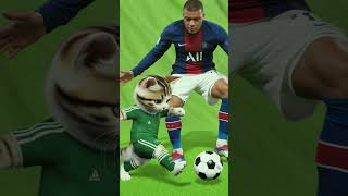 Kitten vs Mbappé Epic Football Match 🐾⚽  catlovers cat football felineantics cute [upl. by Salangia]