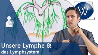 Unsere Lymphe So bedeutsam ist die Lymphflüssigkeit  Störungen führen zu Lymphödem amp dicken Beinen [upl. by Town]