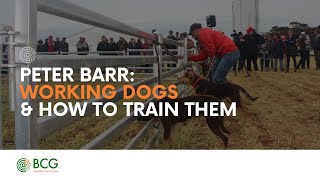 BCG Main Field Day Peter Barr  Working dogs and getting the most from them [upl. by Jim968]