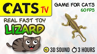 GAME FOR CATS  Fast Lizard Guecko 🦎 Toy 60fps 🔴 3 HOURS CATS TV Games on screen [upl. by Keg]