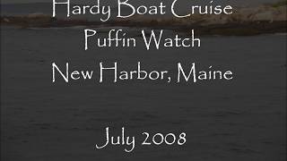 Hardy Boat Cruise Puffin Watch Tour New Harbor Pemaquid Maine [upl. by Artamas]