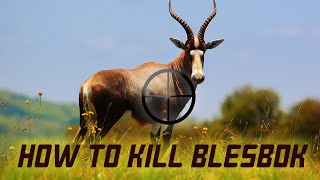 Perfect Quartering Shot placement on Blesbok  Waterhole Hunt [upl. by Lareine]