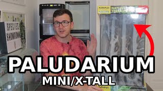 What to put in a Paludarium MiniXtall  Tank Suggestions [upl. by Raynata]