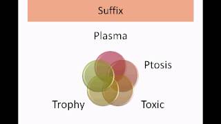 Medical Terminology Part 1Intro to Root Prefix Suffix [upl. by Norvell]