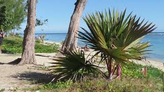 Ile de la Réunion plage de lErmitage 2 [upl. by Annayr348]