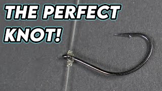 Keep Your Hook Facing UP How To Tie the Best Knot For Dropshots updated [upl. by Ebbarta663]