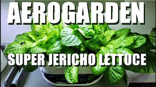 AEROGARDEN SUPER JERICHO LETTUCE [upl. by Nayk]