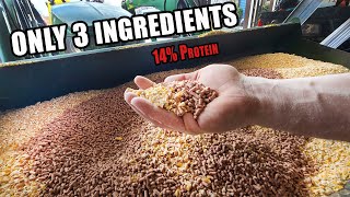 EASY PIG FEED MIX  Only 3 Ingredients 14 Protein [upl. by Isiad]