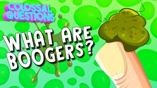 What Are Boogers  COLOSSAL QUESTIONS [upl. by Madel439]