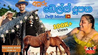 ඩෙල්ෆ් දූපත  Delft island 🏝️ අපි ගියපු හොදම Travel Destination එකක්  Delft Village Stay srilanka [upl. by Anerb]