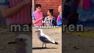 🦆🕶️🕊️ 🧏‍♂️🧏‍♂️ Måsen avbryter sommarlov i svtbarn svt svtplay fåglar sommar [upl. by Mar]